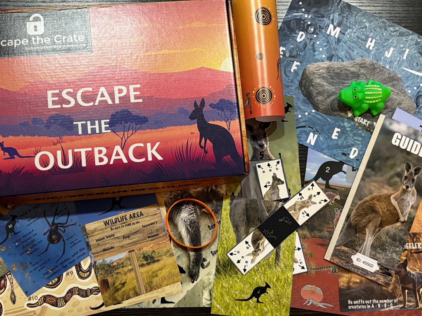 Our Newest Box! - Available in the Subscription!