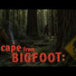 Escape from Bigfoot: Hide and Seek - SPECIAL RELEASE!